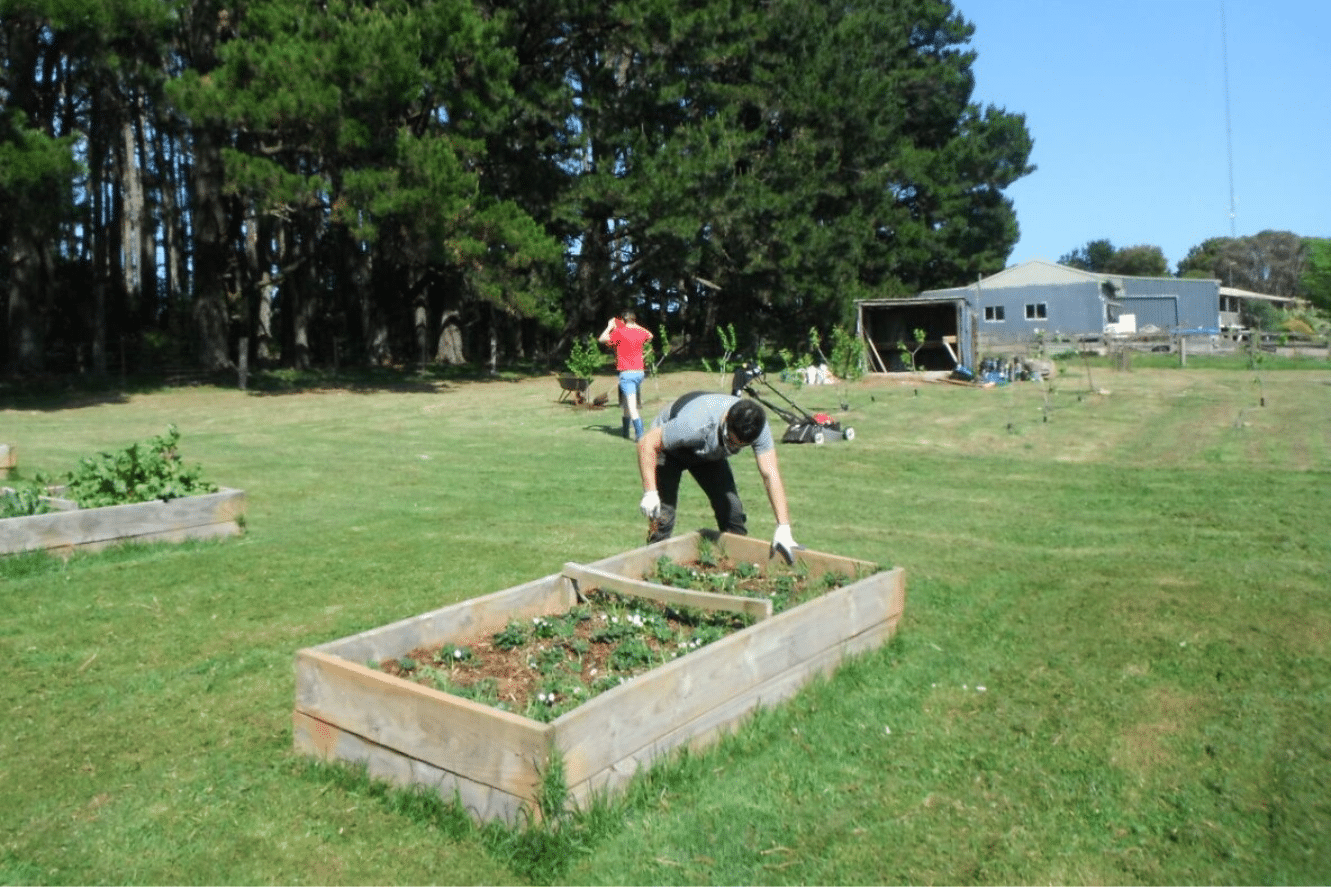 Young person tending to vegetable beds at Triple Care Farm