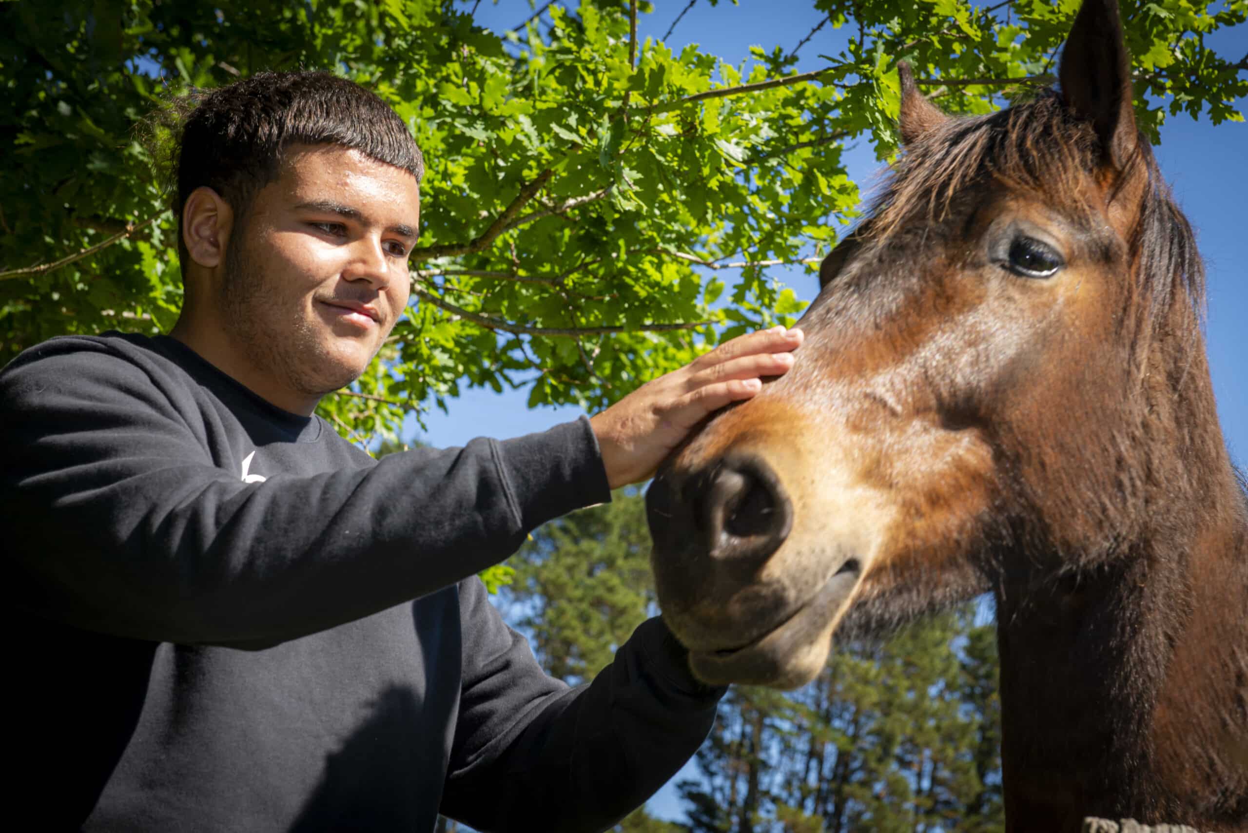 young man with horse