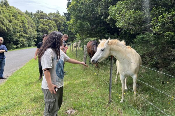 Meeting the locals