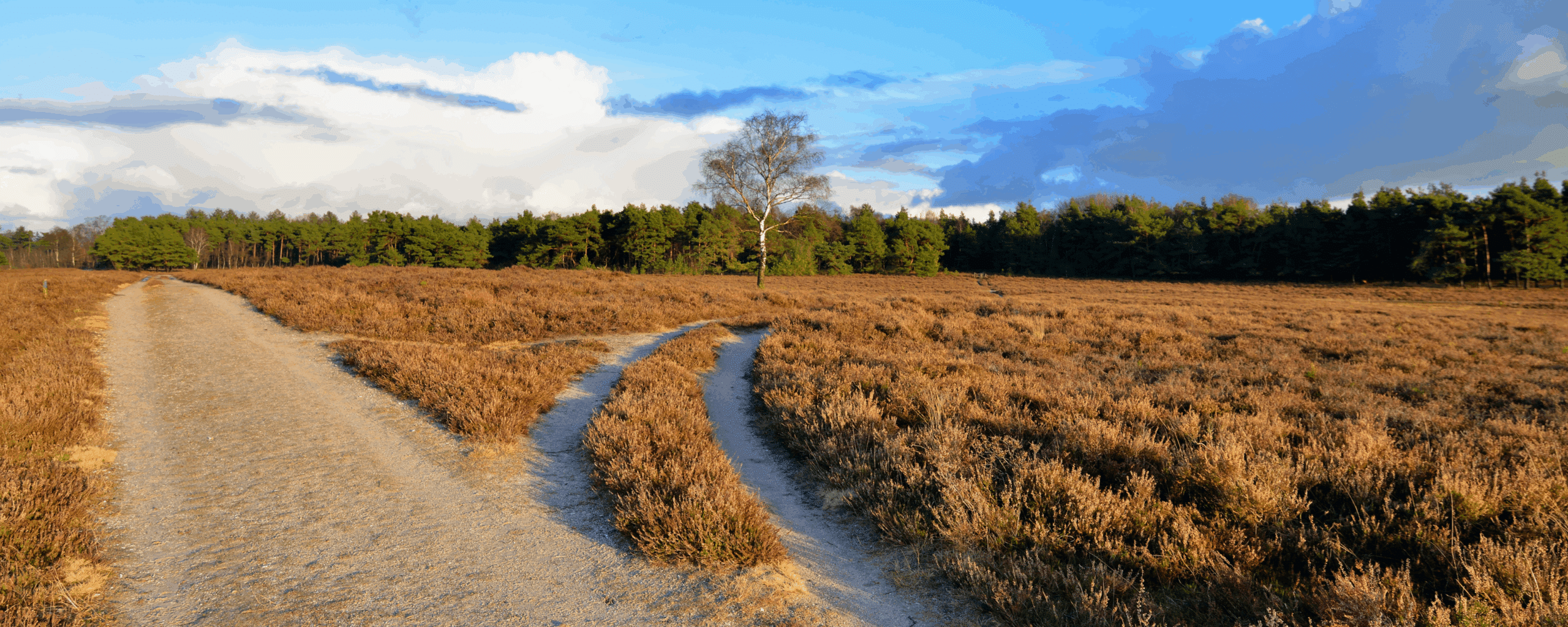Harm Minimisation vs Abstinence: Two Approaches to Recovery   